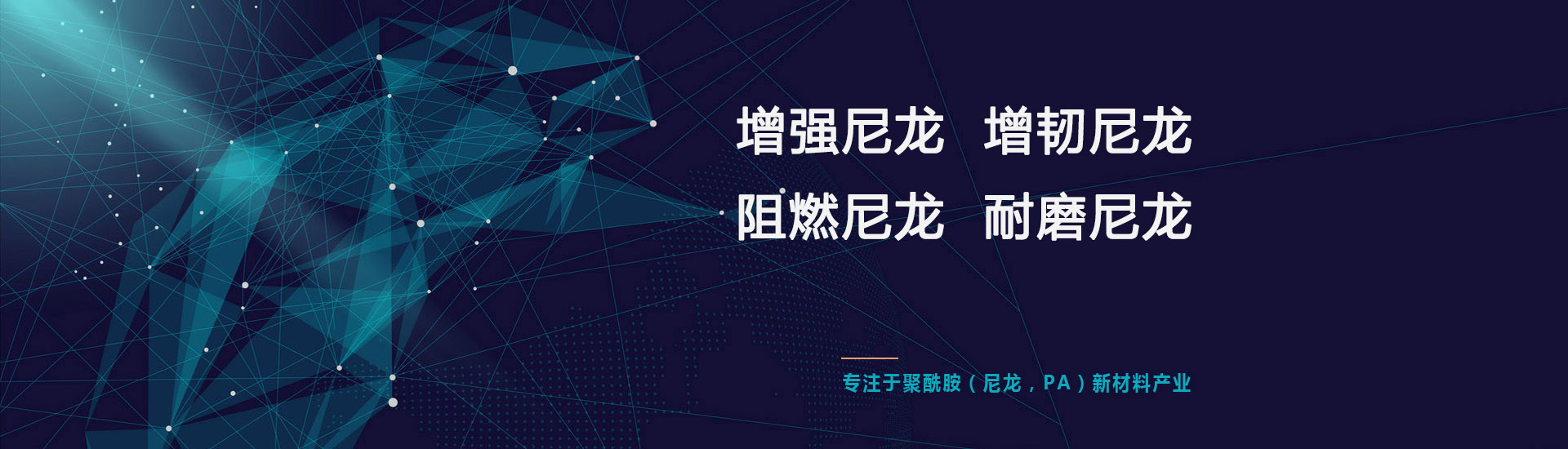 尼龍改性